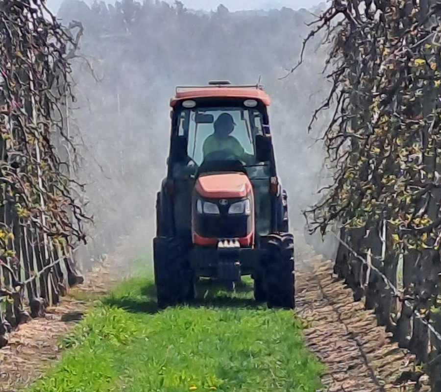 orchard assistant permanent job